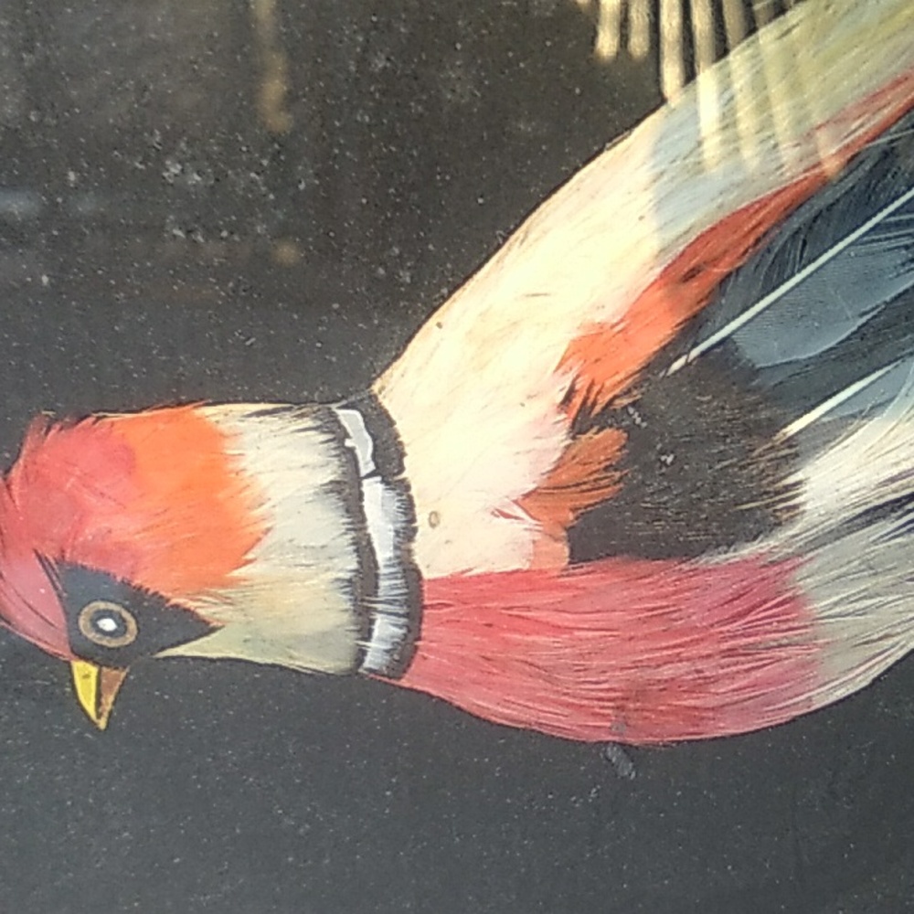 Vintage PEACOCK Framed ART Bird Distressed Wood FRAME πΌοΈ 19" X 11" - Picture 2 of 16